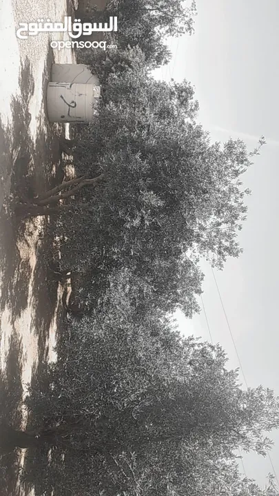 منزل للبيع