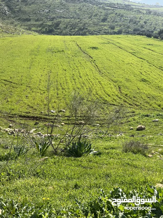 ارض للبيع جرش عنيبه منطقة شاليهات مساحة الارض 3500متر بقوشان مستقل اطلاله مميزه جدا جدا