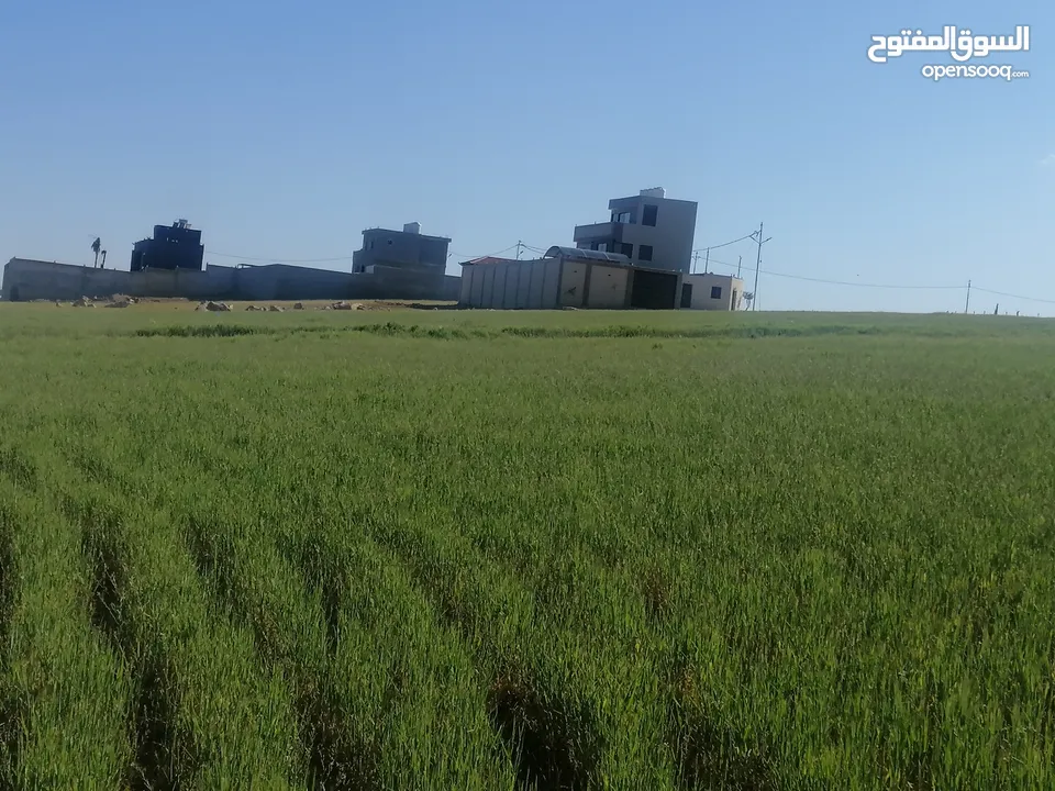 القسطل قرب شارع المطار من المالك