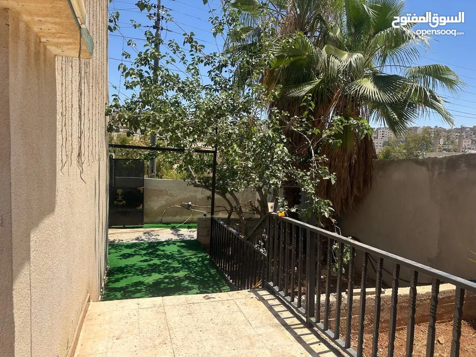 بيت للايجار