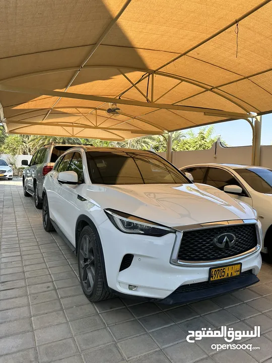 انفينيتي qx50 فل اوبشن في قمة النظافة