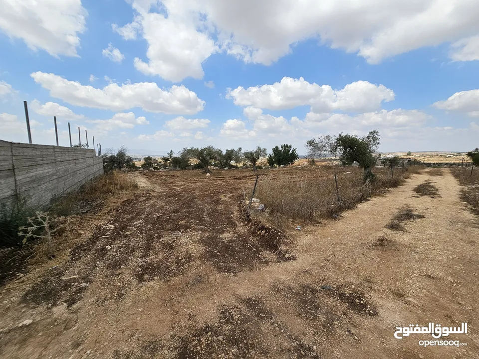 فرصة استثمارية لا تعوض . ارض مميزة للبيع في بيت قاد