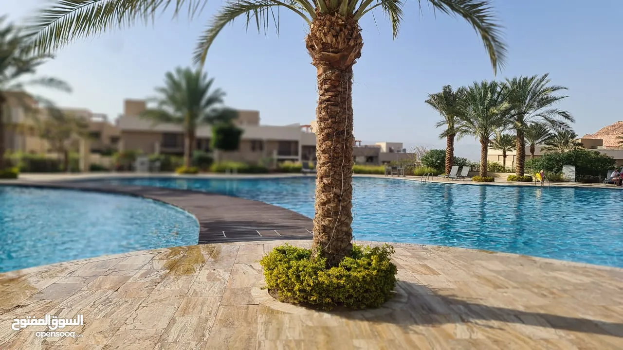 Newly furnished apartment in Aqaba for sale or rent by owner