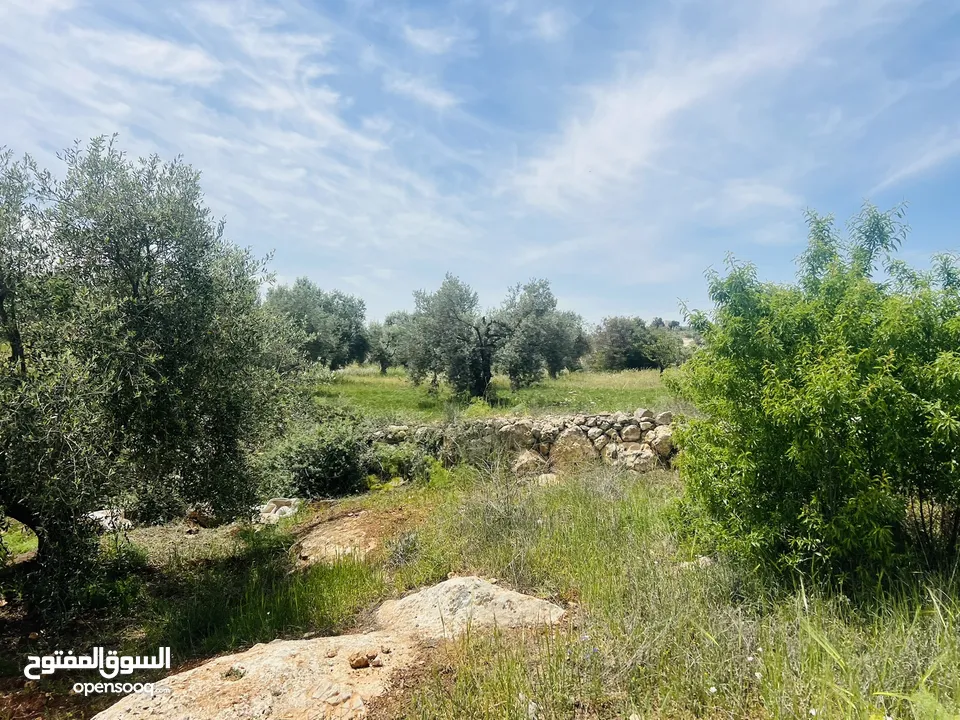 960 م شارع الستين