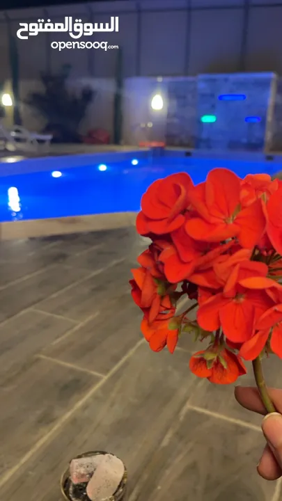 مزارع وشاليهات مسابح مدفيه فاخرة للايجار