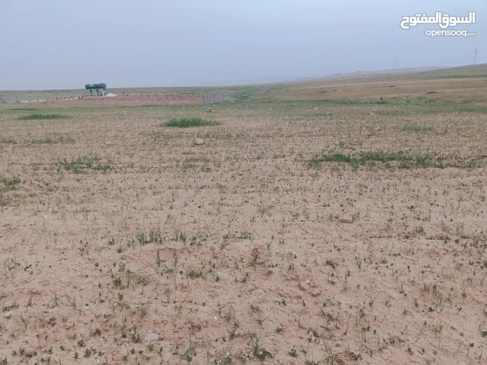 ارض للبيع من المالك مباشرة