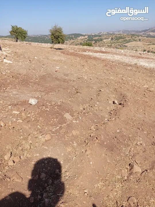 مزرعه للبيع في جرش سوف منطقه الظهره الشماليه