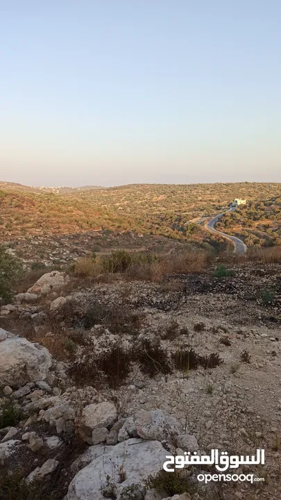 القبة الذهبية  شارع بلعا-دير الغصون