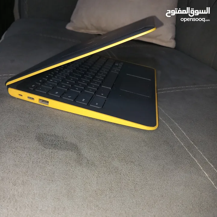 لابتوب hp chromebook 2020 شراء من هولندا