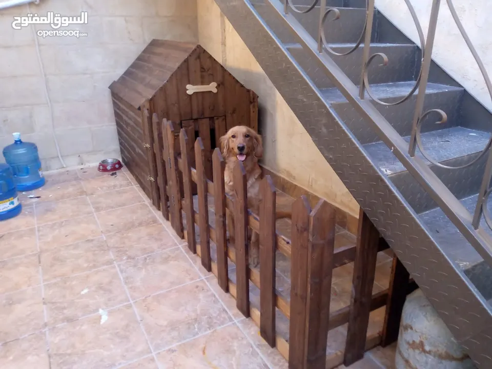 أكواخ خشبية وبيوت للحيوانات