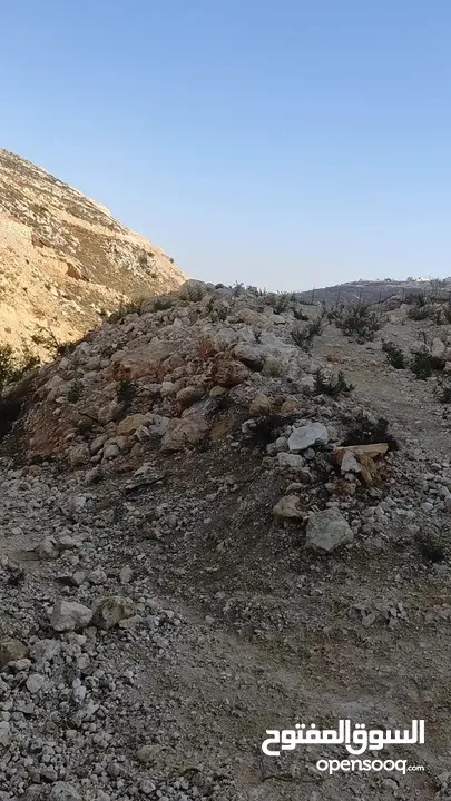 ارض للبيع 1000 متر طابو ابو نجيم