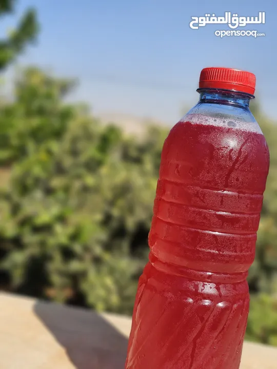 مشروب Indigo طبيعي غني بالمكونات النباتية  Indigo مشروب نباتي لتعزيز النشاط  مشروب صحي بنكهة طبيعية