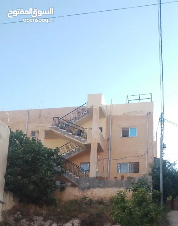 بيوت   طابقين   واحدة شقتين    والثانية ثلاث شقق