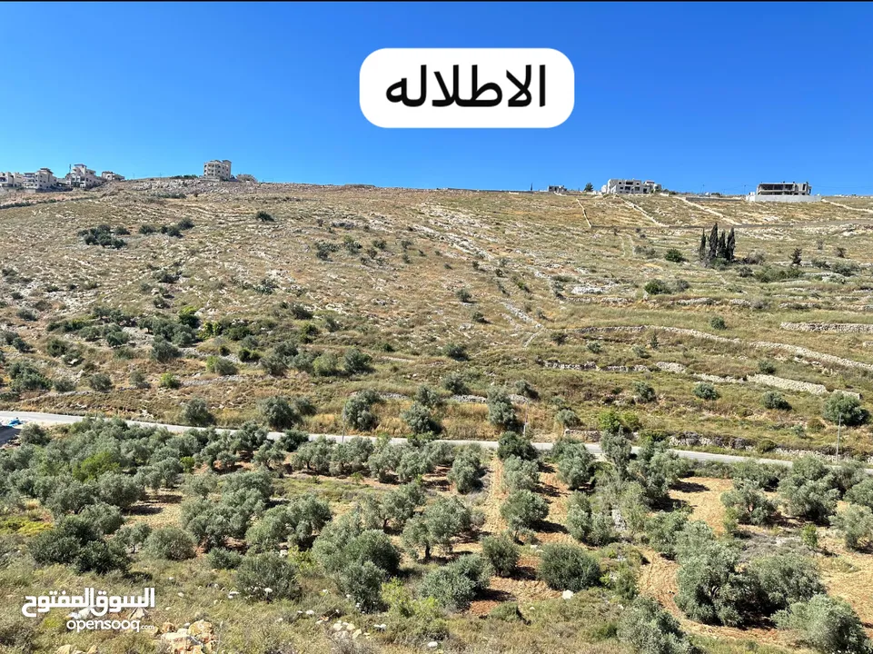 ارض 588 م منطقه العمدان ، كوشان مستقل بالنمره