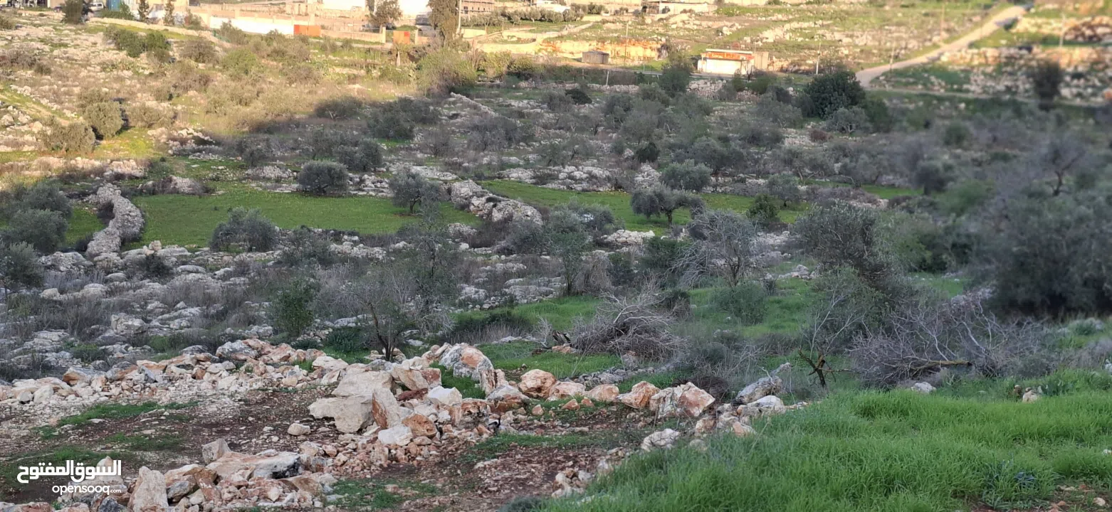 800متر طابوا فلسطيني في اجمل موقع بالكفريات واطلالة مميزةمنطقة( b)صالحة للبناء