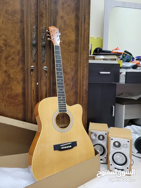 Acoustic Guitar