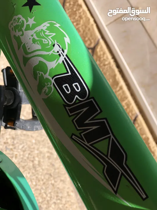 BMX-Lion 20
