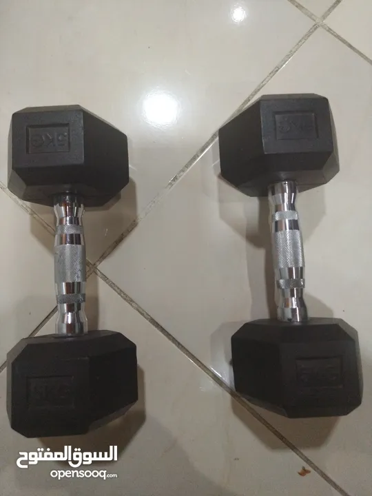 Dumbbells weights l brought them in 2024 November they are not scratched nor damaged