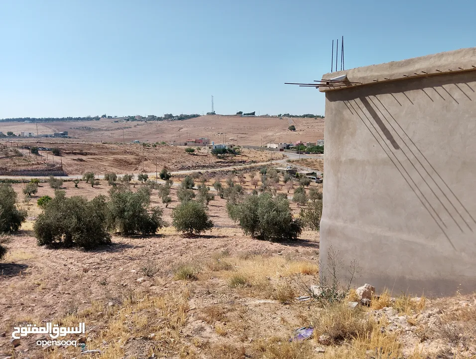 لقطة ؛ أرض زراعية مع غرفة على حدود الطفيلة والكرك ، تصلح للاستثمار كمزرعة سياحية أو منتجع سياحي