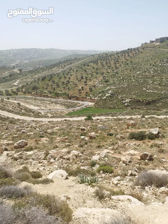 ارض للبيع ( ام رمانه) قريبه جدا من شارع الاردن حيث تبعد عن بن معروف 6 دقائق فقط