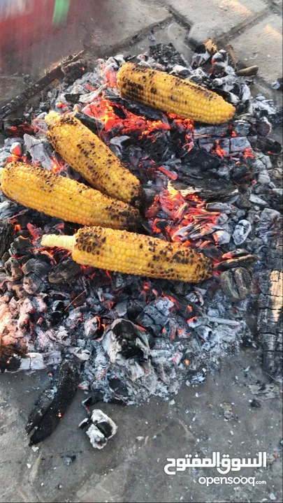 أكل منزلي متقن جدا