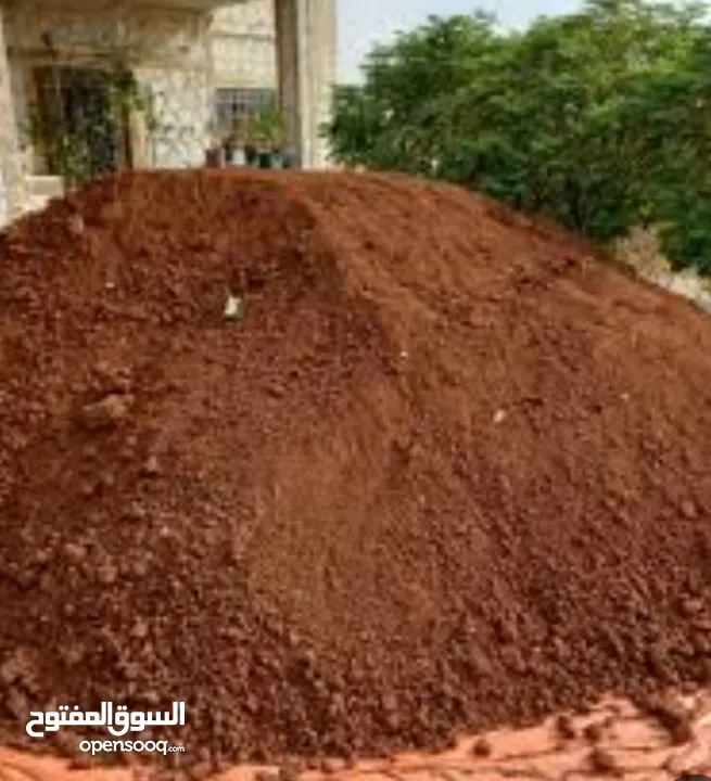 قلاب سنجل و دنبر رمل