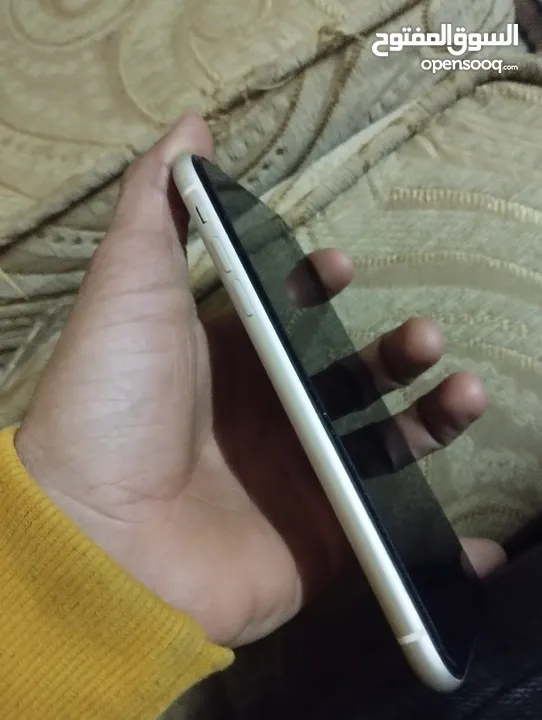ايفون 11 برو