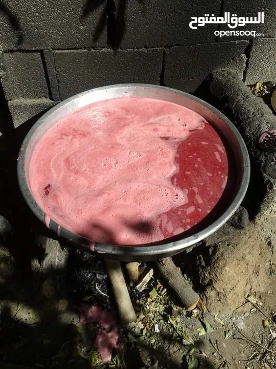 شروة دبس رمان بلدي للبيع