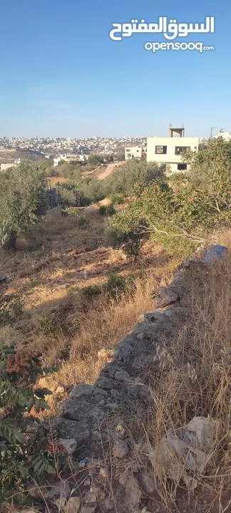 أرض مميزة للبيع