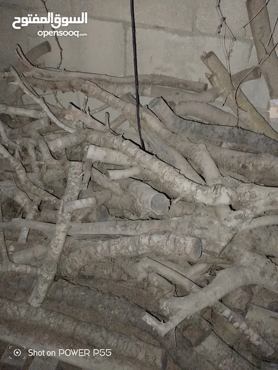 تشكيلة حطب للبيع