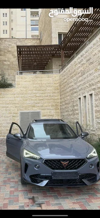 كوبرا فورمينتو للبيع كاش سعر حرق بسبب الاوضاع