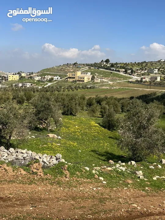 ارض للبيع جرش جبا مشجره زيتون مقابل ثغرة عصفور اطلاله مميزه جدا بسعر مغرررري جدا جدا