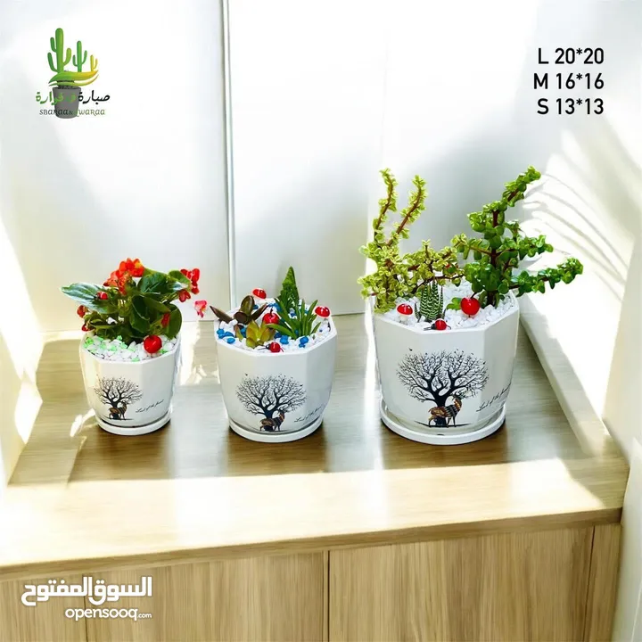 توزيعات للمناسبات والهدايا  وقواوير زينة داخل المنزل