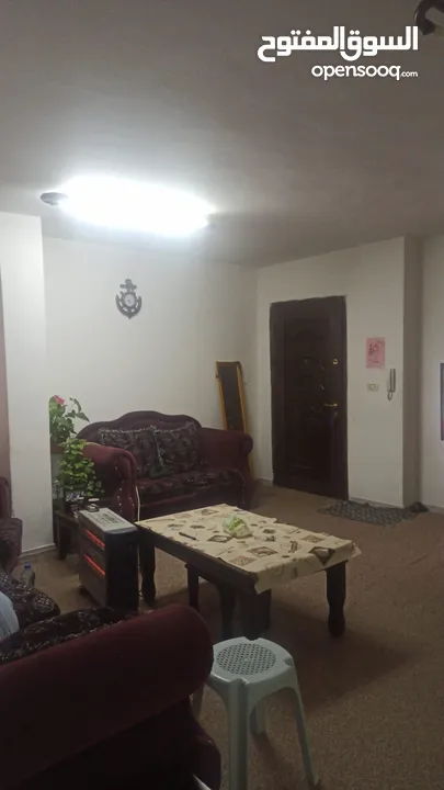شقه للبيع خله قيس بيت جالا