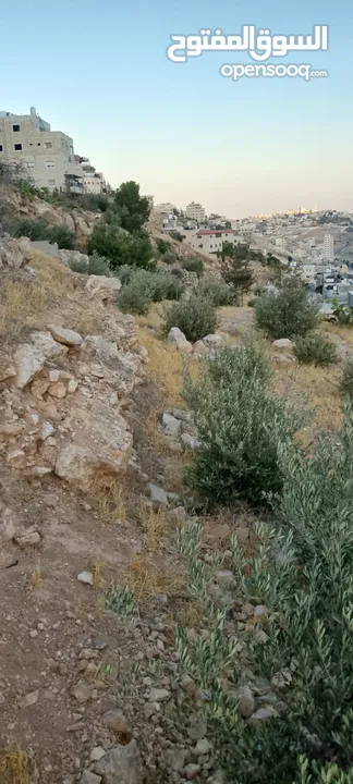 قطعة أرض طابو للبيع