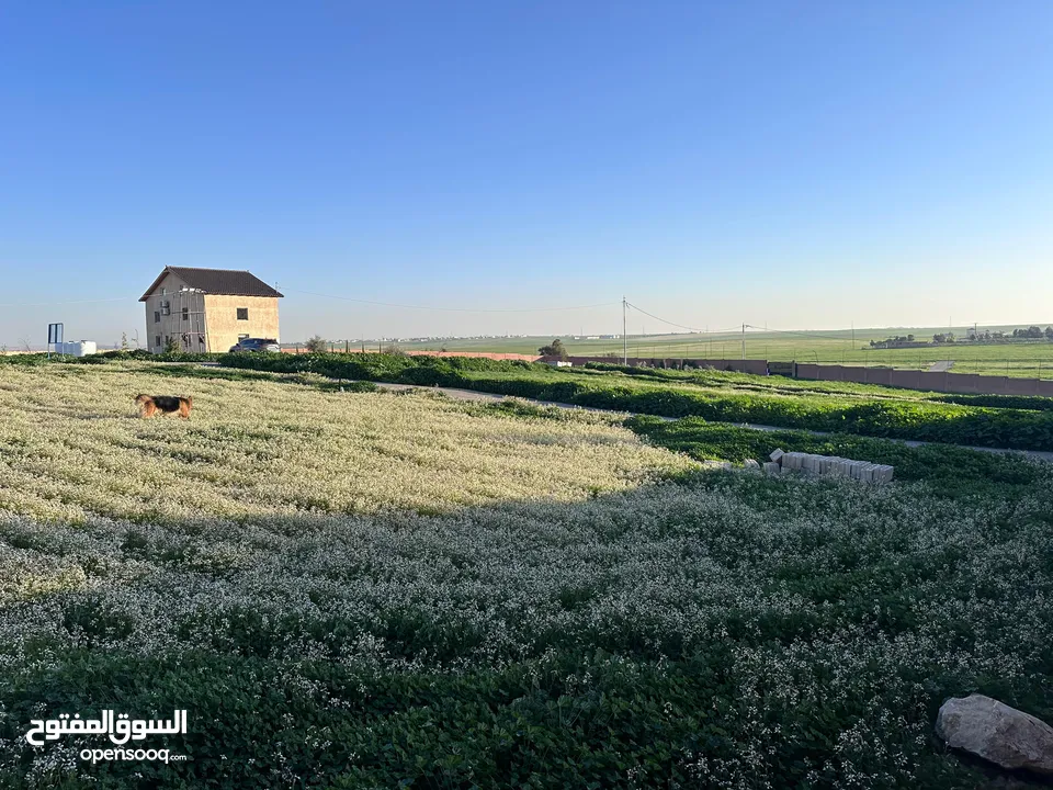 ارض للبيع على شارعين طريق المطار مع سور مجاني جلول 6 كم من جسر المطار من المالك مباشرة