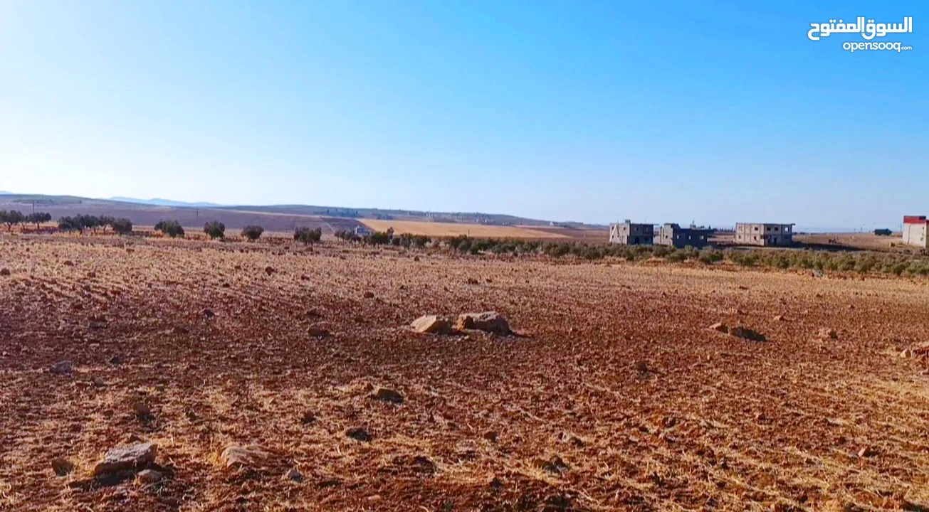 ارض استثمارية مميزة/ مزرعة تميرة للبيع بسعر مناسب جدا من المالك مباشرة/تم بيع قطعتين و باقي قطعتين