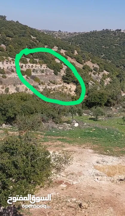قطعة ارض للبيع