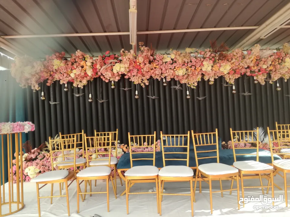 تأجير كراسي ذهبية Tiffany golden dining chairs rent for parties 700 baisa