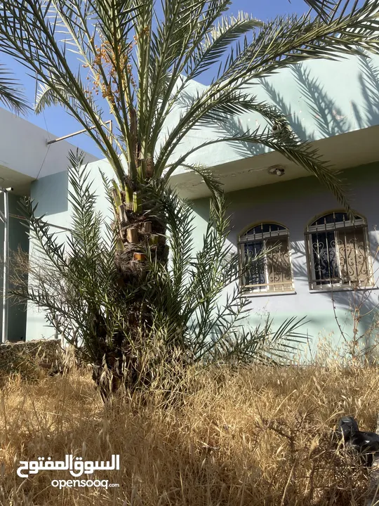 بيت مستقل للبيع في الباذان
