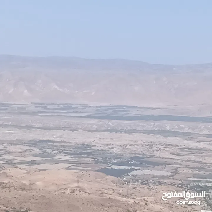 مزرعه للبيع في الصبيحي مطله على فلسطين