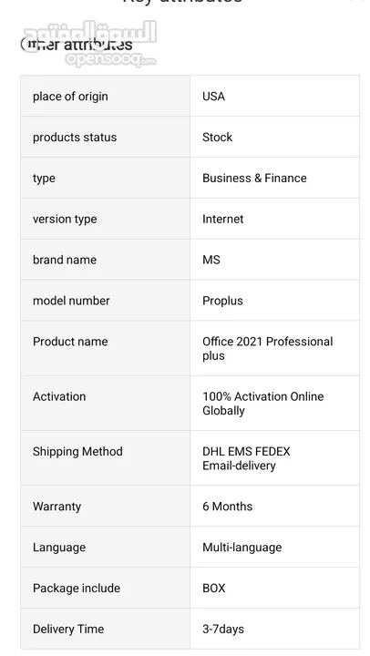 Microsoft Office 2021 Professional plus