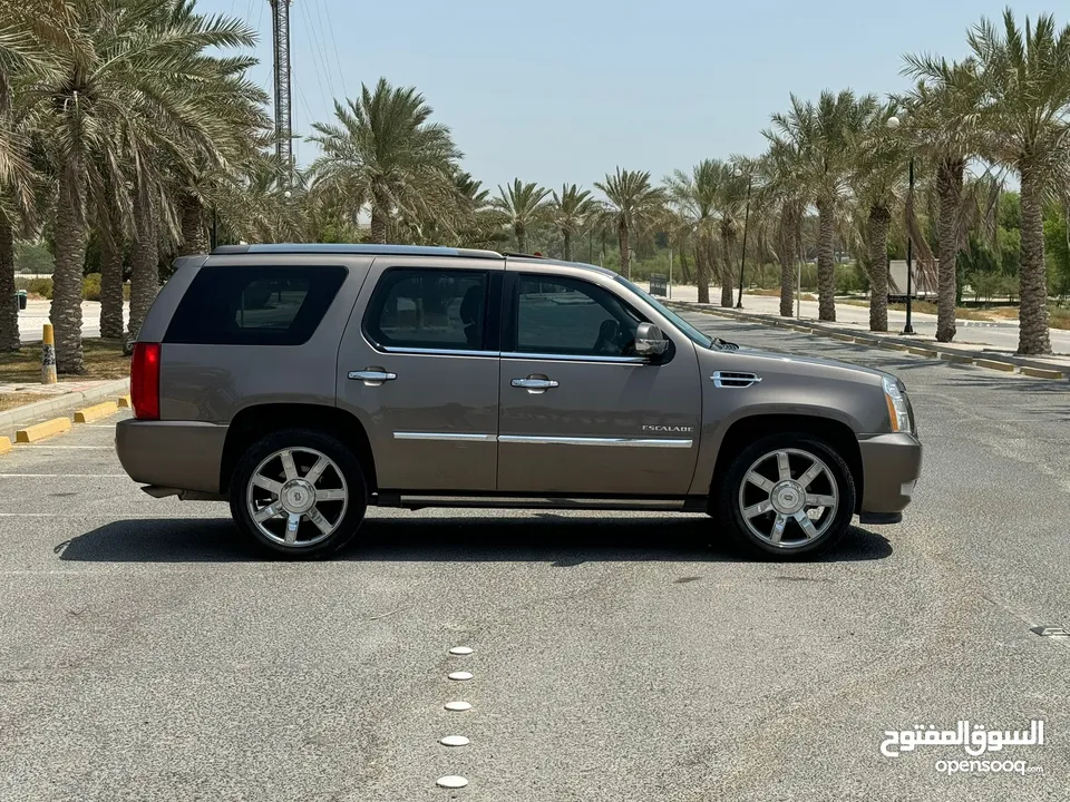 Cadillac Escalade 2013 (Brown)