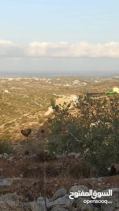 القبة الذهبية  شارع بلعا-دير الغصون