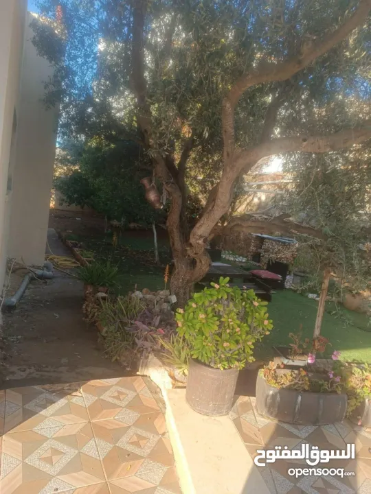 بيع منزل مستقل