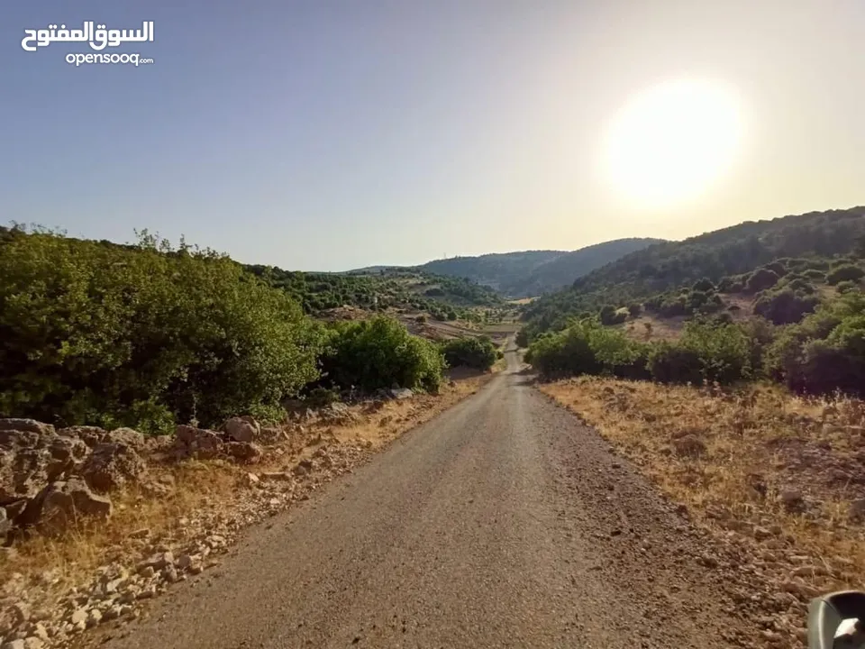 أرض متعددة الاستخدامات في أجمل مناطق عجلون