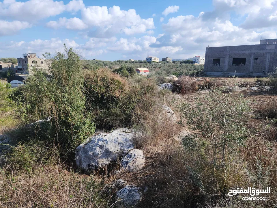 حصة بمنطقة الحرايق