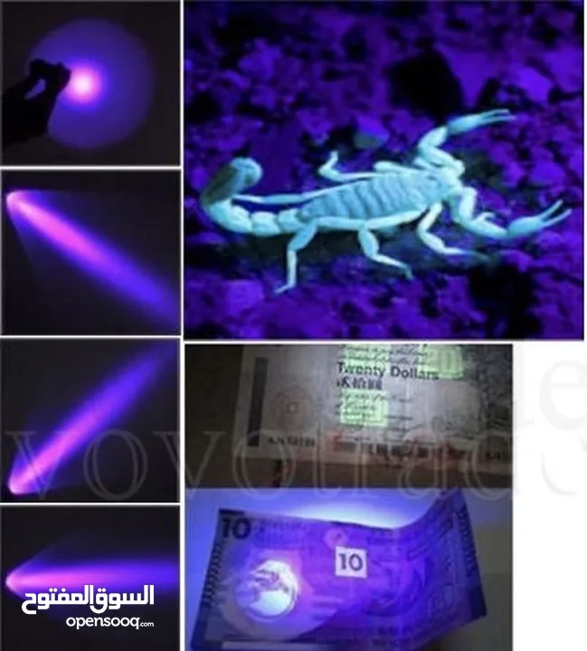 التوصيل الى باب الدار: لامبة كشف العقارب بالأشعة البنفسجية Lampe UV de détection – pour scorpions