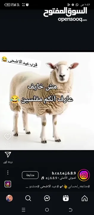 يوجد خدمت ذبح الضحي في منزلكم