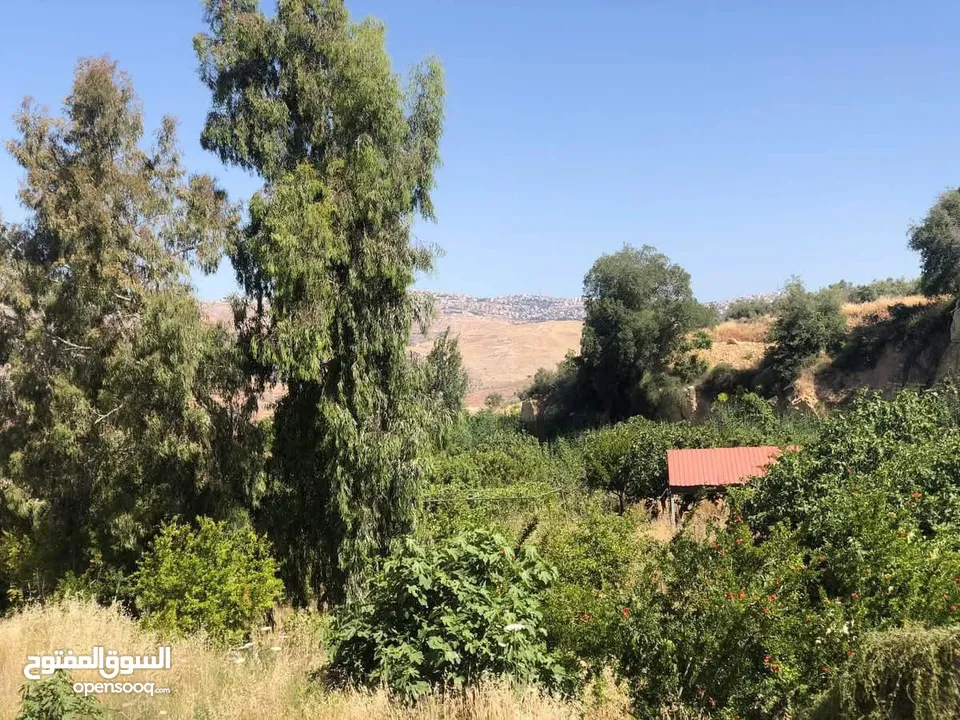 للبيع قطعه ارض مثالية في ماحص مميزة جدا يوجد فيها ينابيع مياه